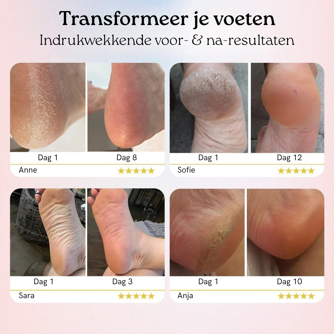 Inclusief_2_2048x_0d4b0365-f326-448e-88e4-f82a18946900.png